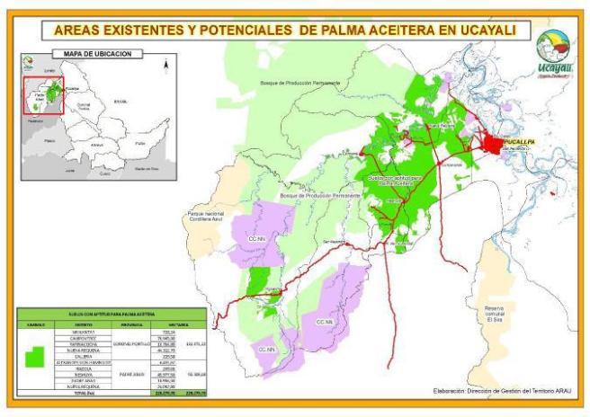 areas-existentes-y-potenciales-de-palma-aceitera-en-ucayali